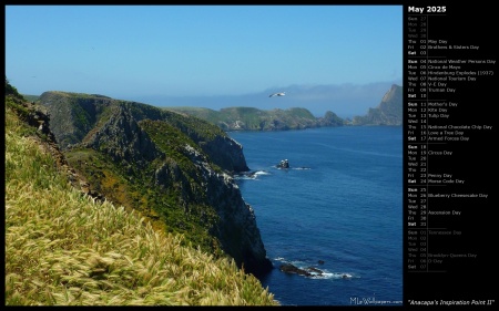 Anacapa's Inspiration Point II