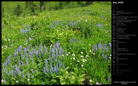 Field of Wildflowers at Mount Rainier