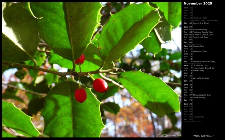 Holly Leaves II