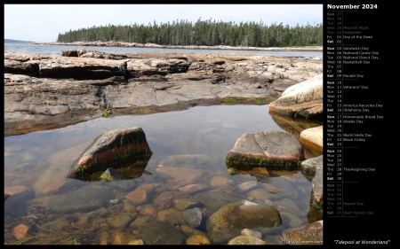 Tidepool at Wonderland