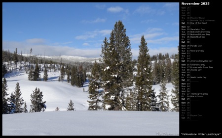 Yellowstone Winter Landscape