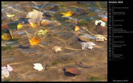 Fall Leaves in Pond