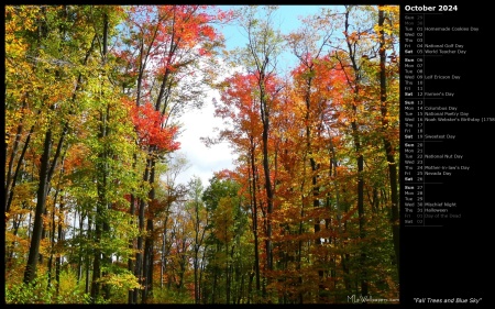 Fall Trees and Blue Sky