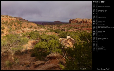 Neck Springs Trail