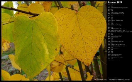 Pair of Fall Redbud Leaves