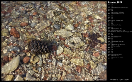 Pebbles in Taylor Creek