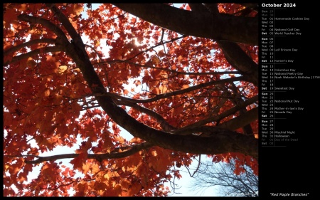Red Maple Branches