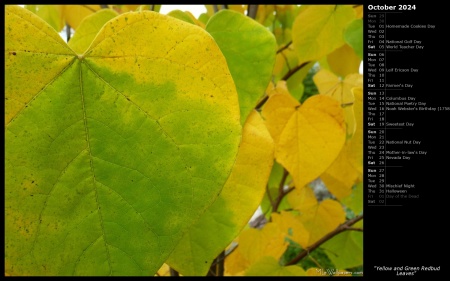 Yellow and Green Redbud Leaves