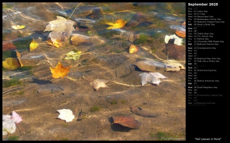 Fall Leaves in Pond