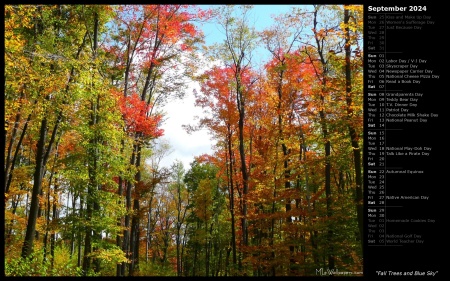 Fall Trees and Blue Sky