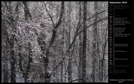 Glistening Icy Forest in Morning Light I