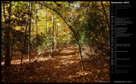 Greenbelt Park in Fall I