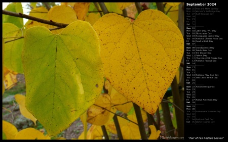 Pair of Fall Redbud Leaves