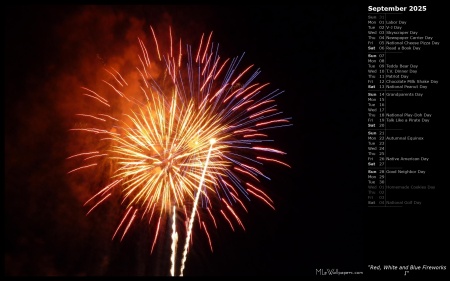 Red, White and Blue Fireworks I