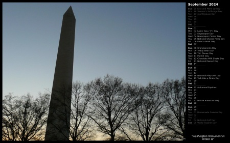 Washington Monument in Winter II