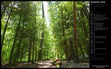 Hemlock Trail at Laurel Hill State Park I