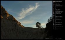 Lone Torrey Pine