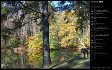 A Seat with an Autumn View