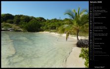 Antiguan Beach