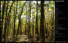 Appalachian Trail in October