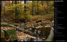 Fall Creek with Reflection