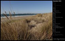 Limantour Beach at Point Reyes II