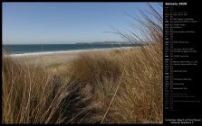 Limantour Beach at Point Reyes National Seashore I