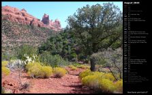 Red Rocks and Cacti II