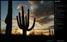 Saguaro Sunset II