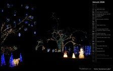 Winter Wonderland Lights