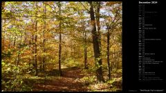 Wolf Rocks Trail in Autumn