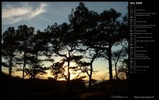 Torrey Pine Sunset II