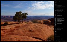 Tree Out of Red Rocks I