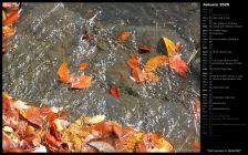 Fall Leaves in Waterfall