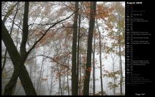 Foggy Fall