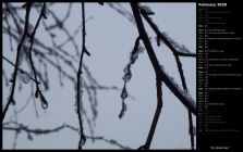 Icy Branches