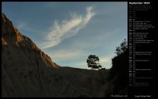 Lone Torrey Pine