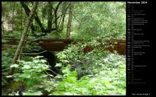 Muir Woods Bridge I