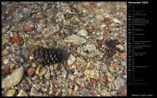 Pebbles in Taylor Creek