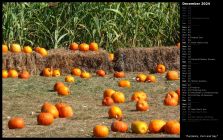 Pumpkins, Corn and Hay