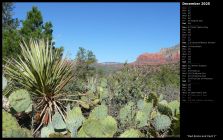 Red Rocks and Cacti I