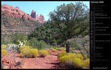 Red Rocks and Cacti II