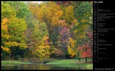 Seven Springs Fall Bridge II