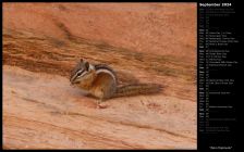 Zion Chipmunk