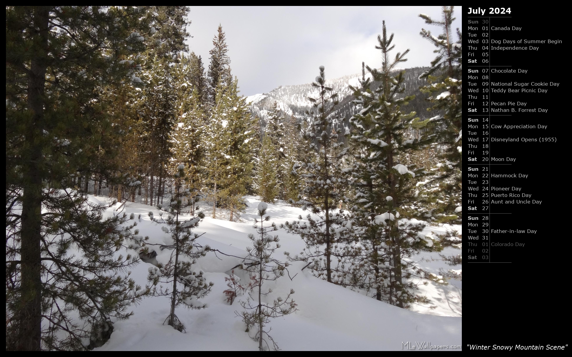 MLeWallpapers.com - Winter Snowy Mountain Scene (Calendar)