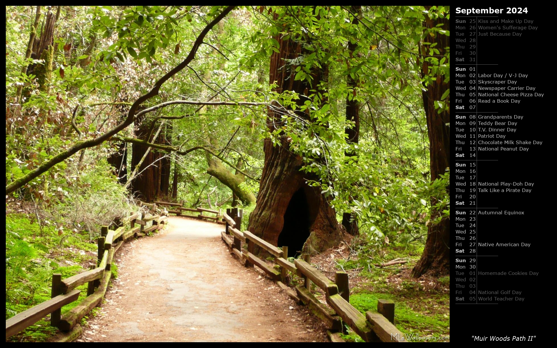 Muir Woods Path II (Calendar)