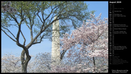 Cherry Blossoms and the Washington Monument