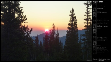 Sunrise in the Forest at Rocky Mountain