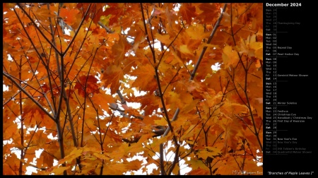 Branches of Maple Leaves I