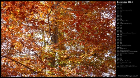 Branches of Orange Leaves